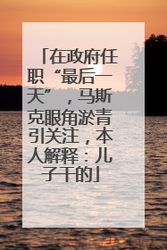 在政府任职“最后一天”，马斯克眼角淤青引关注，本人解释：儿子干的