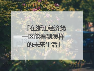 在浙江经济第一区能看到怎样的未来生活