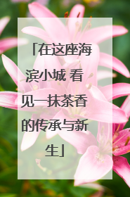 在这座海滨小城 看见一抹茶香的传承与新生