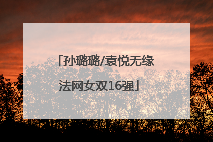 孙璐璐/袁悦无缘法网女双16强