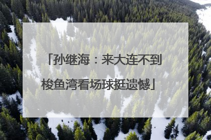 孙继海：来大连不到梭鱼湾看场球挺遗憾