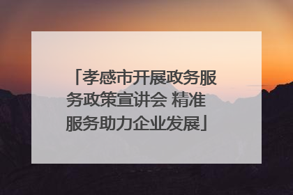 孝感市开展政务服务政策宣讲会 精准服务助力企业发展