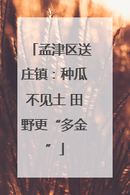 孟津区送庄镇：种瓜不见土 田野更“多金”