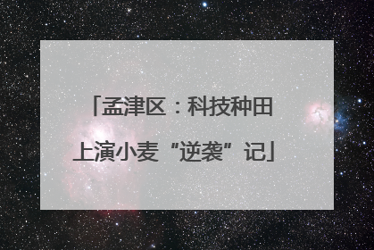 孟津区:科技种田 上演小麦“逆袭”记