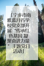 宁乡市南雅蓝月谷学校党支部开展“传承红色基因 凝聚奋进力量”主题党日活动