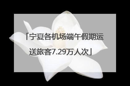 宁夏各机场端午假期运送旅客7.29万人次