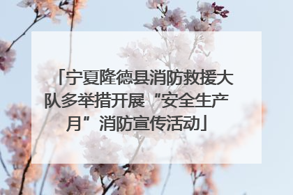 宁夏隆德县消防救援大队多举措开展“安全生产月”消防宣传活动