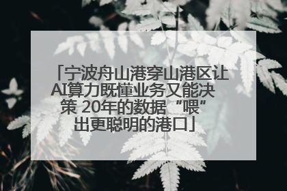 宁波舟山港穿山港区让AI算力既懂业务又能决策 20年的数据“喂”出更聪明的港口