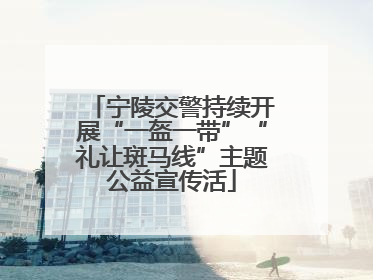 宁陵交警持续开展“一盔一带”“礼让斑马线”主题公益宣传活