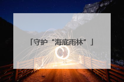 守护“海底雨林”