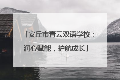 安丘市青云双语学校：润心赋能，护航成长