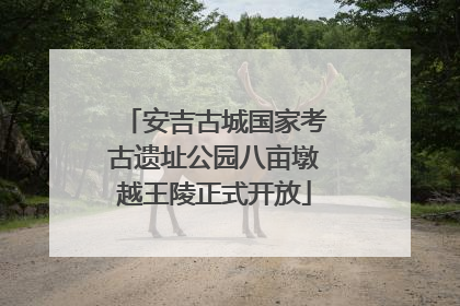 安吉古城国家考古遗址公园八亩墩越王陵正式开放