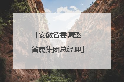 安徽省委调整一省属集团总经理
