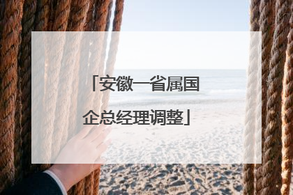 安徽一省属国企总经理调整