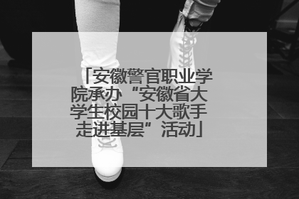 安徽警官职业学院承办“安徽省大学生校园十大歌手走进基层”活动
