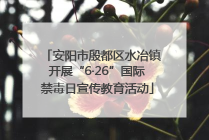 安阳市殷都区水冶镇开展“6·26”国际禁毒日宣传教育活动