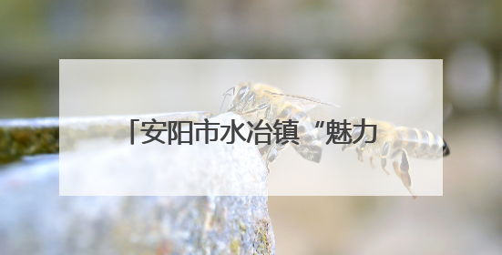 安阳市水冶镇“魅力水冶·健康”主题职工运动会精彩上演