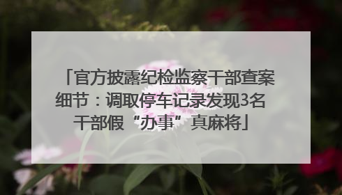 官方披露纪检监察干部查案细节：调取停车记录发现3名干部假“办事”真麻将