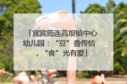 宜宾筠连蒿坝镇中心幼儿园：“豆”香传情，“食”光有爱