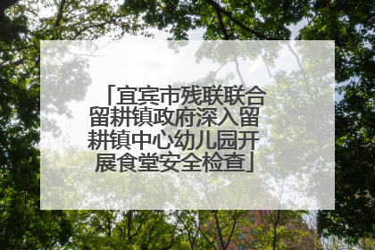 宜宾市残联联合留耕镇政府深入留耕镇中心幼儿园开展食堂安全检查