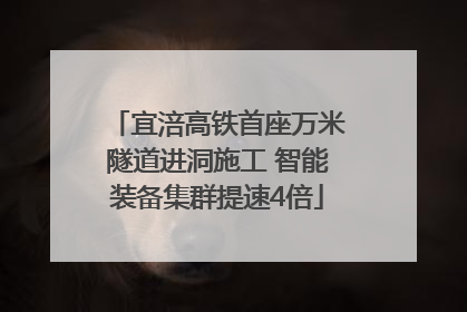 宜涪高铁首座万米隧道进洞施工 智能装备集群提速4倍