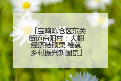 宝鸡陈仓区东关街道南阳村：大棚经济结硕果 绘就乡村振兴新图景