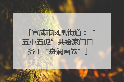 宣威市凤凰街道：“五重五促”共绘家门口务工“斑斓画卷”