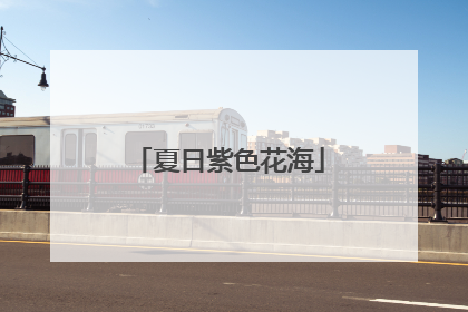 夏日紫色花海