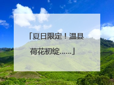 夏日限定！温县荷花初绽……