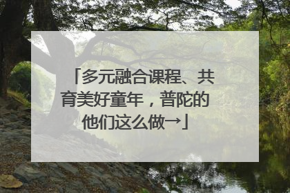 多元融合课程、共育美好童年，普陀的他们这么做→