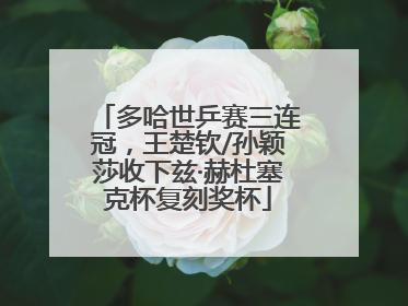 多哈世乒赛三连冠，王楚钦/孙颖莎收下兹·赫杜塞克杯复刻奖杯