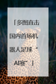 多图直击国内首场机器人足球“AI赛”