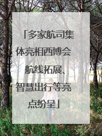 多家航司集体亮相西博会 航线拓展、智慧出行等亮点纷呈