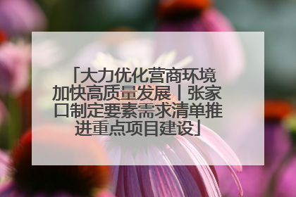 大力优化营商环境 加快高质量发展丨张家口制定要素需求清单推进重点项目建设