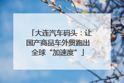大连汽车码头：让国产商品车外贸跑出全球“加速度”