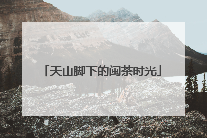 天山脚下的闽茶时光