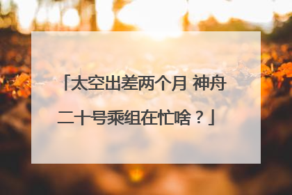 太空出差两个月 神舟二十号乘组在忙啥？