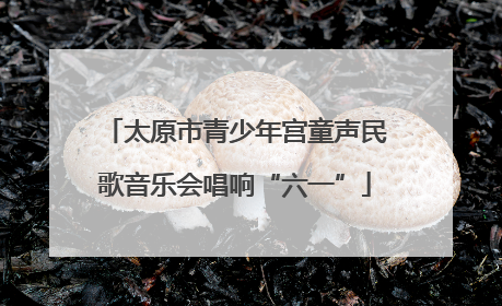 太原市青少年宫童声民歌音乐会唱响“六一”