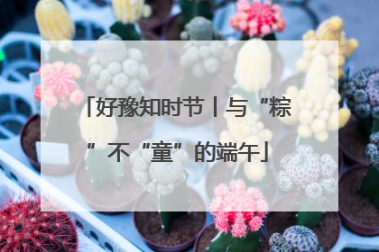 好豫知时节丨与“粽”不“童”的端午
