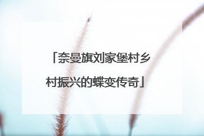 奈曼旗刘家堡村乡村振兴的蝶变传奇