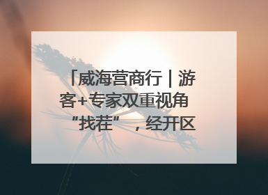 威海营商行｜游客+专家双重视角“找茬”，经开区文旅市场开展暑期前“体检”