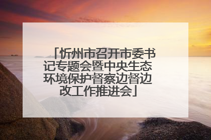 忻州市召开市委书记专题会暨中央生态环境保护督察边督边改工作推进会