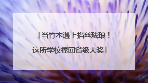 当竹木遇上掐丝珐琅！这所学校捧回省级大奖
