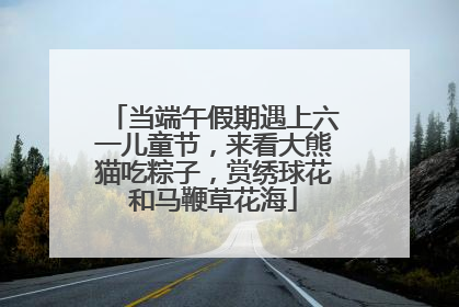 当端午假期遇上六一儿童节，来看大熊猫吃粽子，赏绣球花和马鞭草花海
