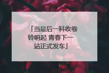 当最后一科收卷铃响起 青春下一站正式发车