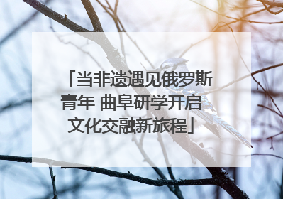 当非遗遇见俄罗斯青年 曲阜研学开启文化交融新旅程