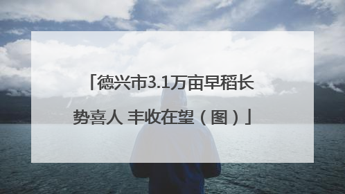 德兴市3.1万亩早稻长势喜人 丰收在望（图）