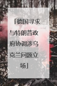 德国寻求与特朗普政府协调涉乌克兰问题立场