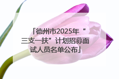 德州市2025年“三支一扶”计划招募面试人员名单公布