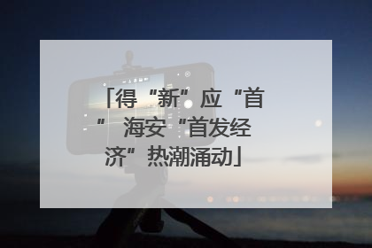 得“新”应“首” 海安“首发经济”热潮涌动